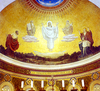 transfiguration3
