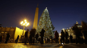 Vatican Christmas Tree