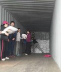 School children fill 40 foot container of aid destined for Cebu from Déise Philippine appeal. 