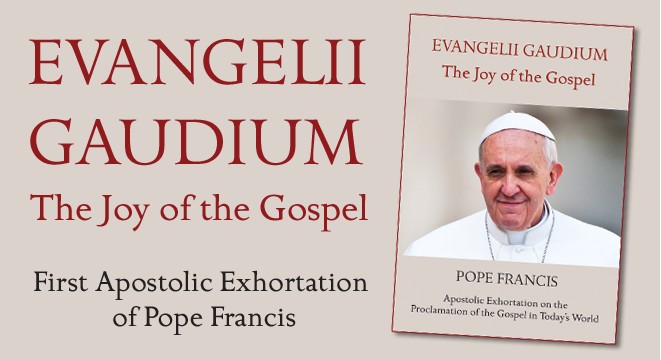 Pope's Evangelii Gaudium Proves A Bestseller - Catholicireland.netcatholicireland.net