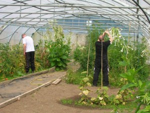 Learning new skills at St Francis Farm Residential Rehab