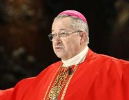 Cardinal André Vingt Trois