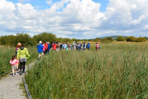 Brigid's Way Pollardstown