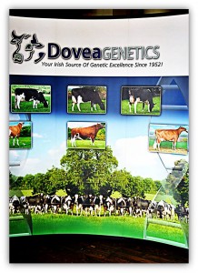 Eritrea 10175979_10153868891940944_7804864938358866285_n