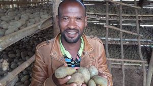 Potato farmer in Eritrea